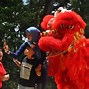 Barongsai Jenis Binatang Apa